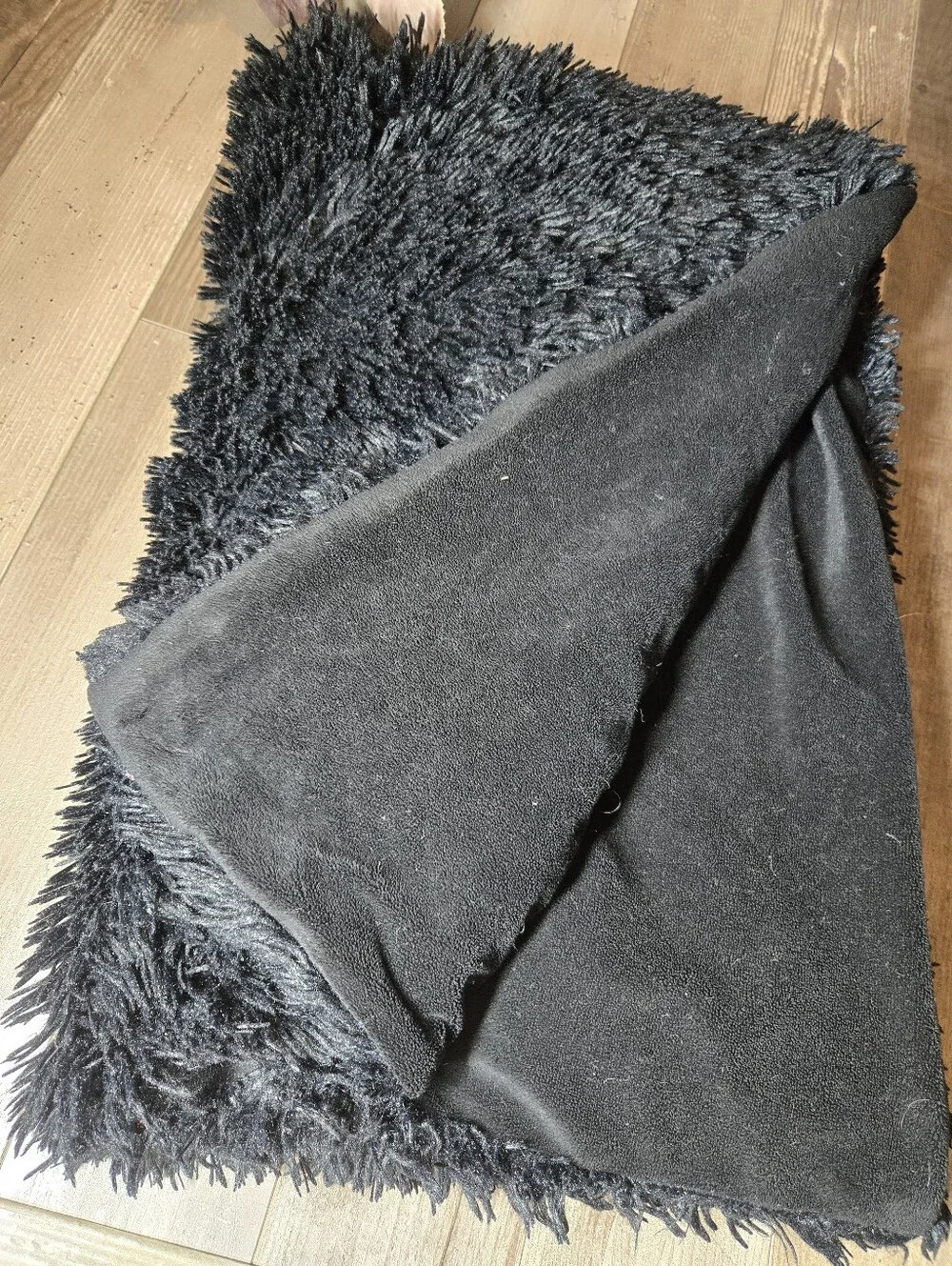Studio D Black Blanket 50